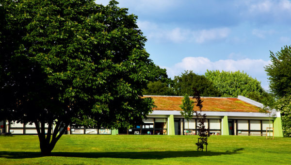 Moseley Primary School