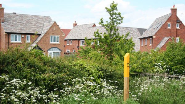 Grange Park