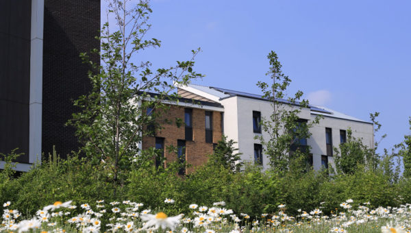 New Hall
