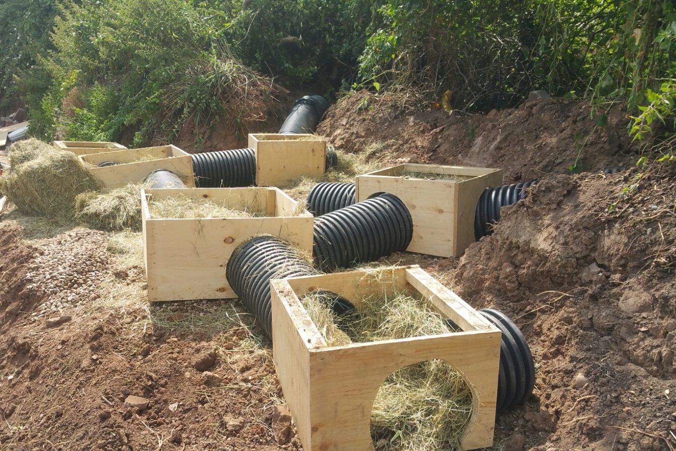 Badger FPCR Environment and Design Ltd