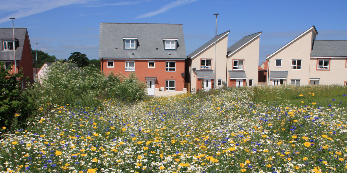 Cranbrook New Town, Exeter, Devon FPCR Environment and Design Ltd